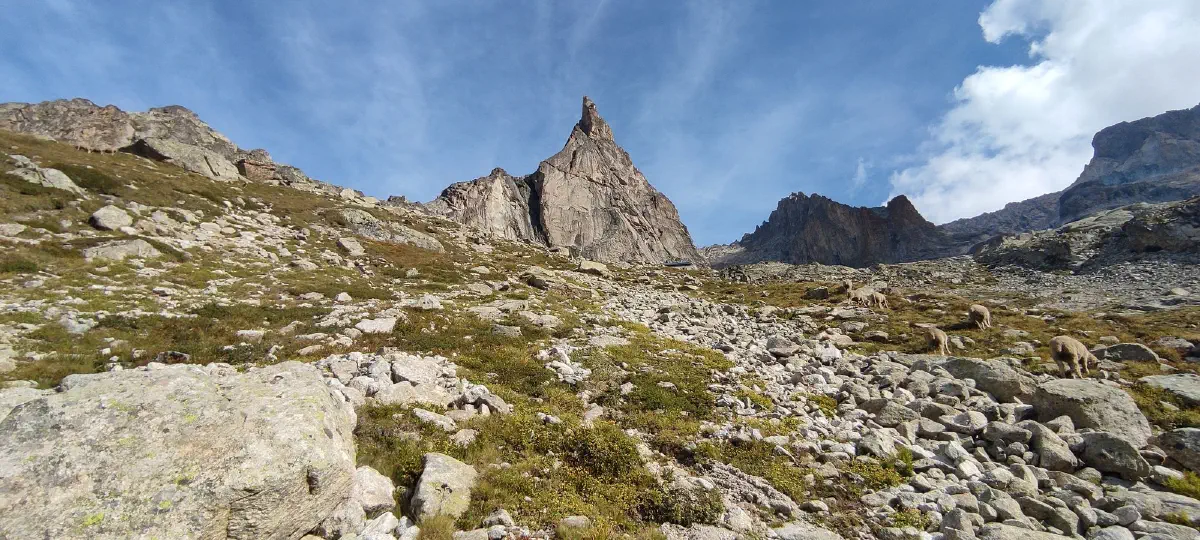 Photo de l'Aiguille Dibona et de son environnement