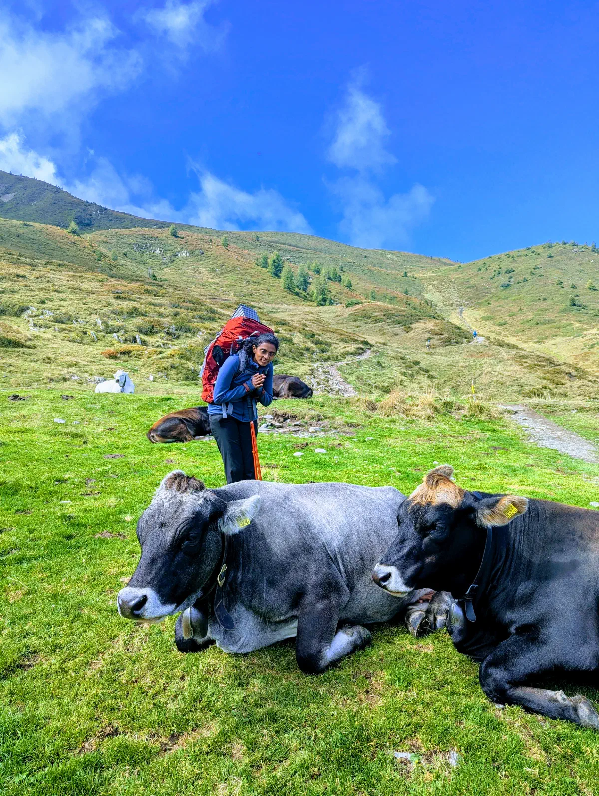 Aditi et une vache